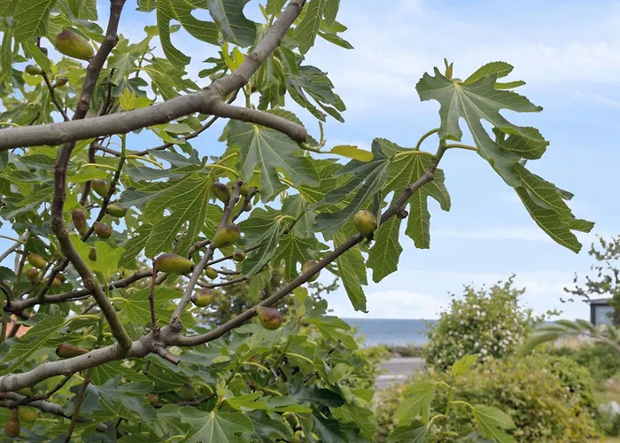 Lovely Flat Close To The Apartamento